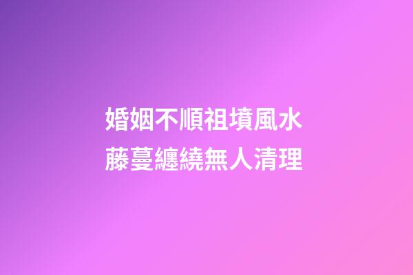 婚姻不順祖墳風水 藤蔓纏繞無人清理